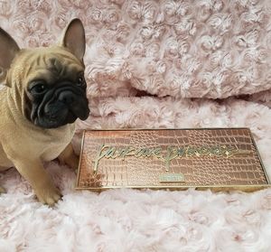 Tarte Chisel Palette